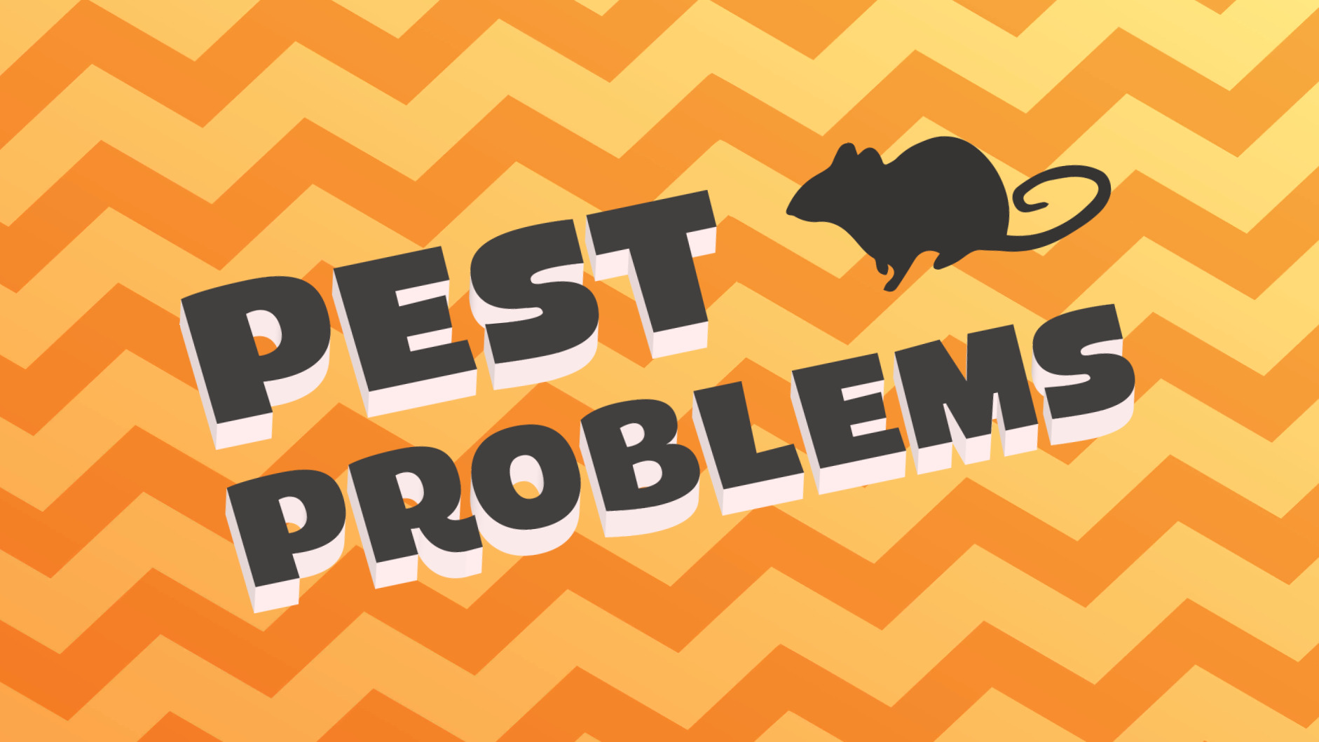Our House- Pest Problems